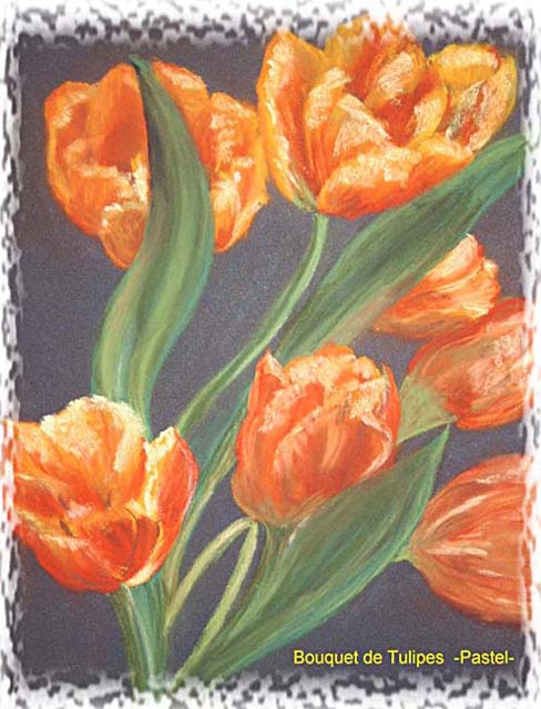 Aperçu de Tulipes